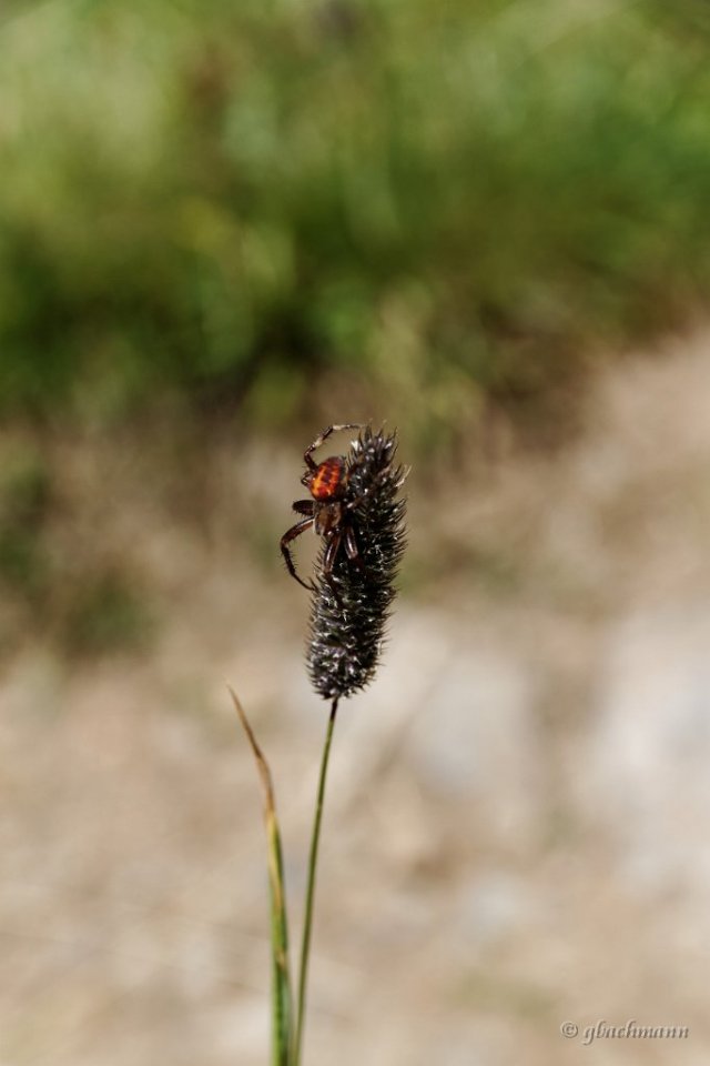 20130802_002